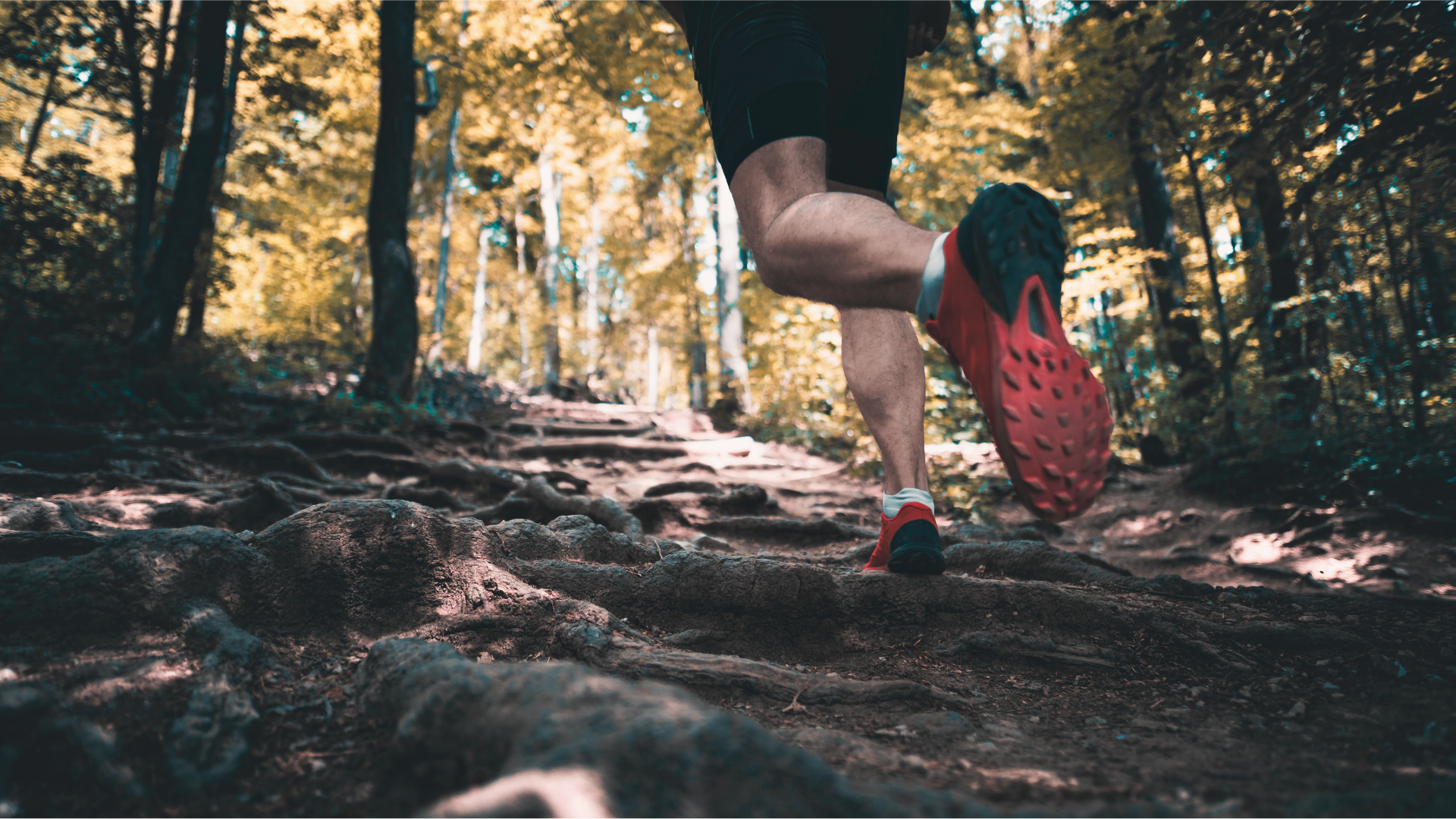 Trail runner on rocky path